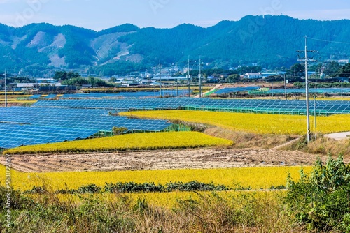Array of solar panels in rural farmland with mountains in background.