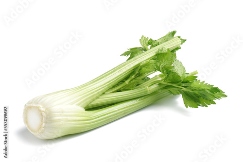 Bunch of fresh celery isolated on white background