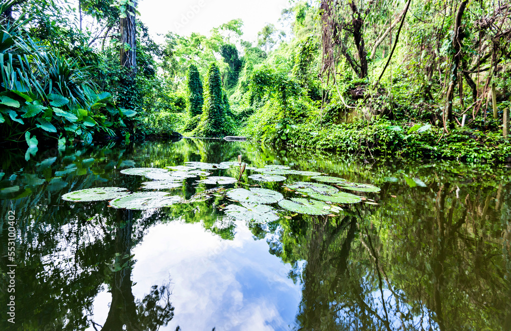Obraz premium Tranquil landscape at a lake