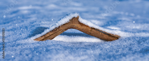 Stock im Schnee photo