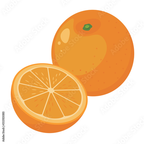 Vector illustration of two oranges on white background.