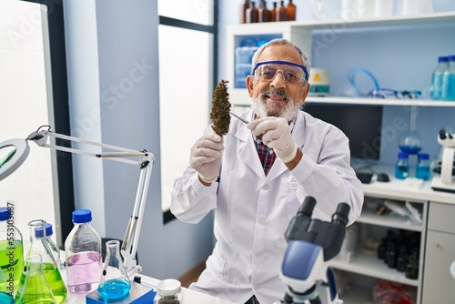 Εκτύπωση καμβά Senior grey-haired man scientist holding cannabis herb with tweezers at laborato