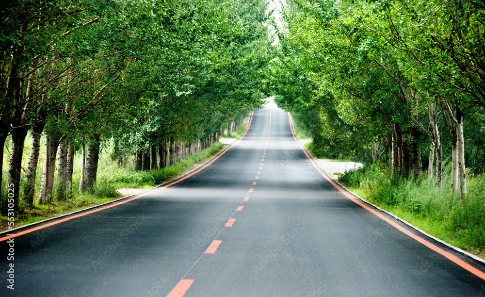 Obraz premium Asphalt straight road through the deep forest