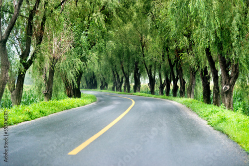 Asphalt road through green field in summer day