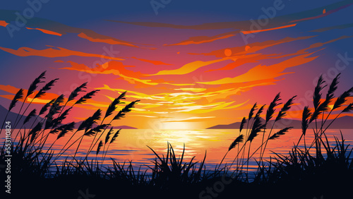 Sunset at a lake with grass in silhouette