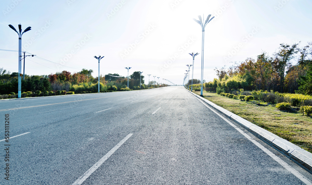 Country asphalt road and green trees landscape in summer