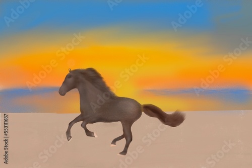 beautiful horse gallop across the beach in the evening © Tanan