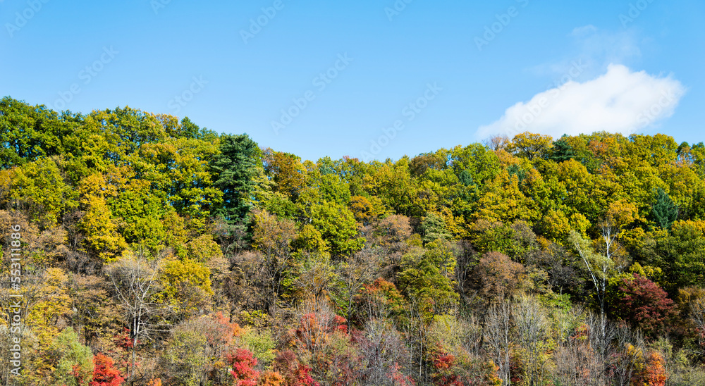 The mountain autumn landscape under blue sky The mountain autumn landscape under blue sky