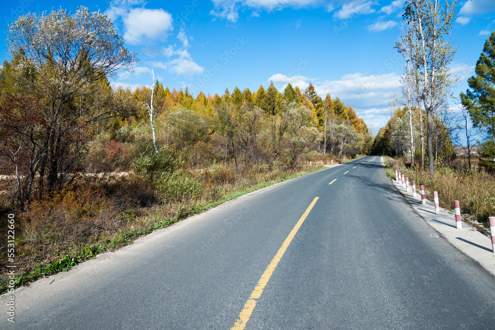 Scenic road through autumn trees Scenic road through autumn trees