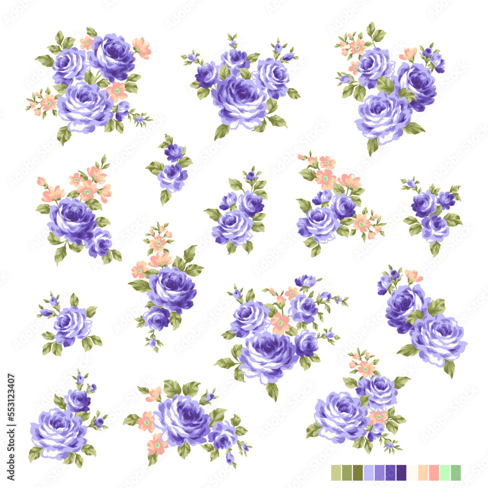 Beautiful rose illustration material collection, Beautiful rose illustration material collection,