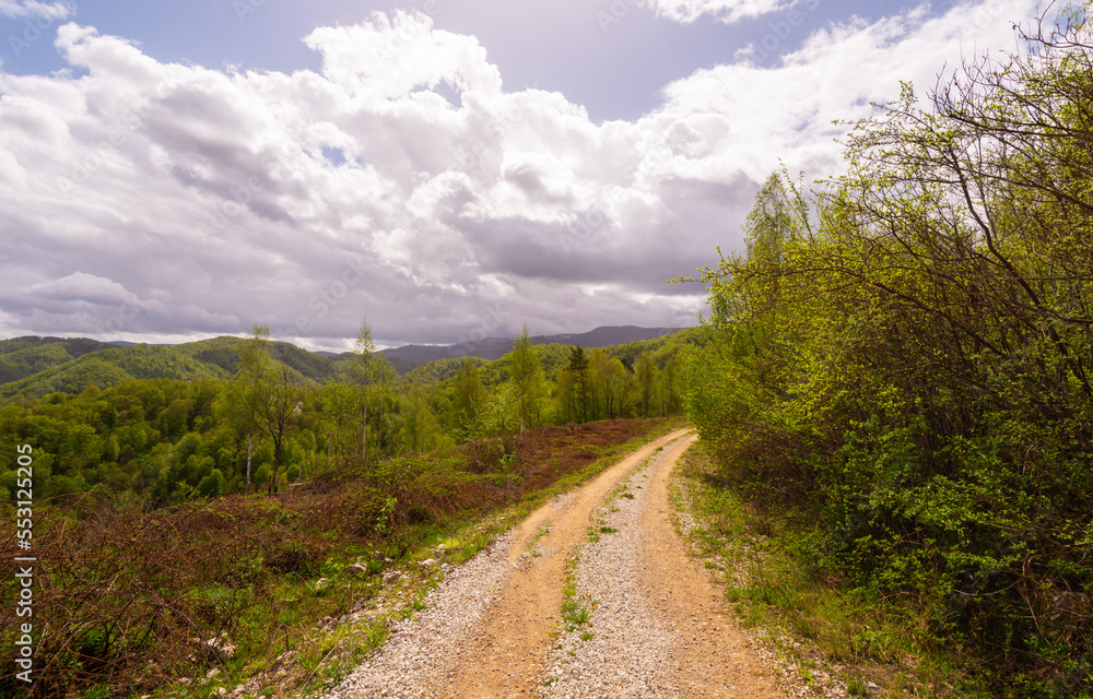 Beautiful country road in spring in remote rural area in Eastern Europe and storm April sky Beautiful country road in spring in remote rural area in Eastern Europe and storm April sky
