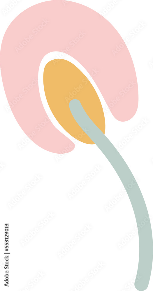 Fototapeta premium Abstract flower minimal vector