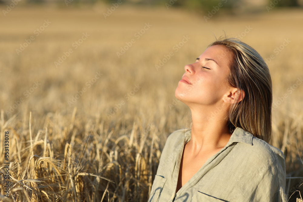 Woman breathing fresh air in a golden wheat field