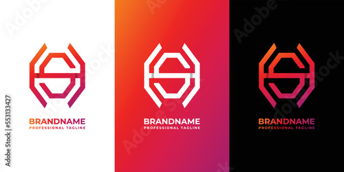 Letter HS Monogram Octagon Logo