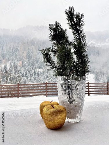 Golden apple and christmas plant in the Snow