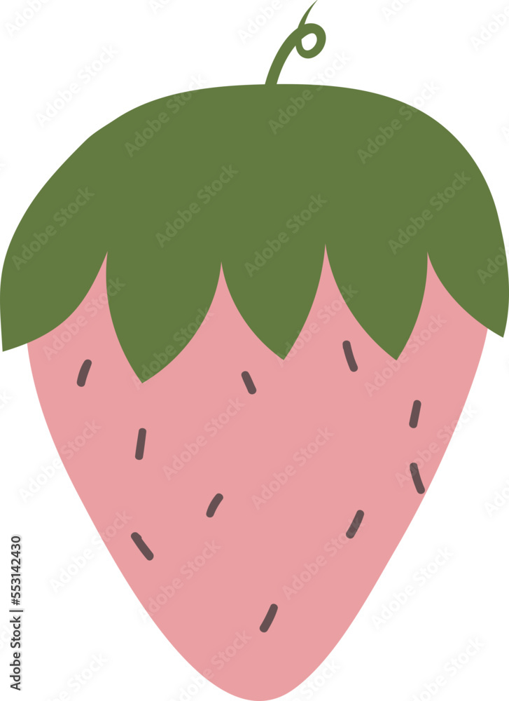 Fototapeta premium Strawberry vector