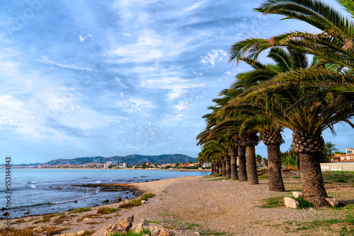 Benicarlo with palm trees coast view to Peniscola Spain Castellon province Costa del Azahar photo