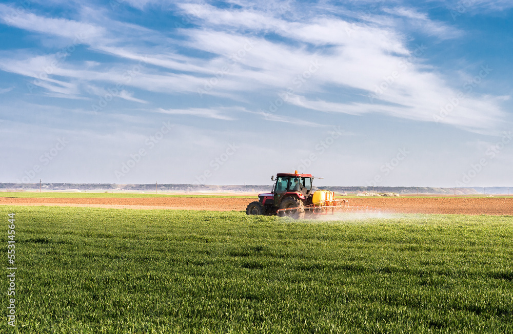 Fototapeta premium Tractor spraying pesticides wheat field.