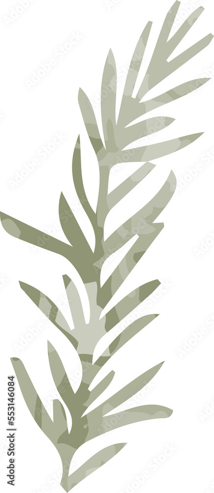 Watercolor winter pine leaf 
