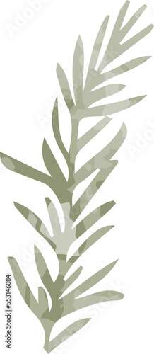 Fototapeta Naklejka Na Ścianę i Meble -  Watercolor winter pine leaf 