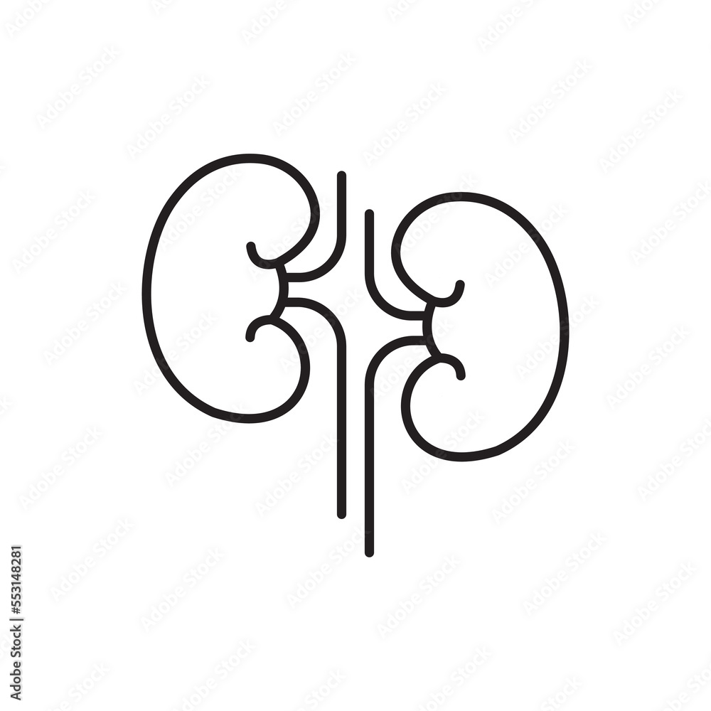 Simple kidneys line icon. Symbol and sign illustration design. Editable Stroke. Isolated on white background Simple kidneys line icon. Symbol and sign illustration design. Editable Stroke. Isolated on white background