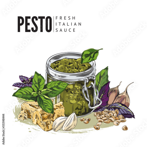 Hand drawn colorful pesto into glass jar sketch style, vector illustration