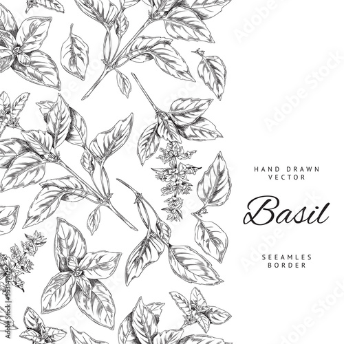Vertical seamless border with hand drawn basil leaves and flowers sketch style