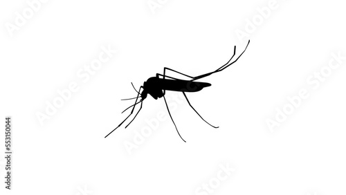 Mosquito silhouette
