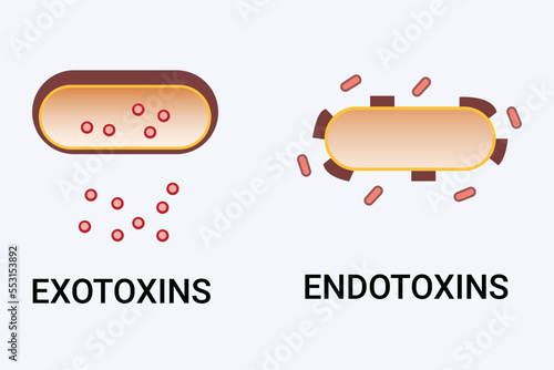 food borne bacterial toxins Exotoxins vs Endotoxins