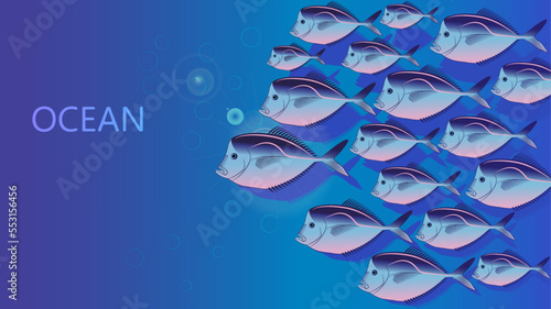 Vector school of fish in the ocean. Fish under water inscription of the word ocean. Marine wallpaper. Vomer fish in the habitat.