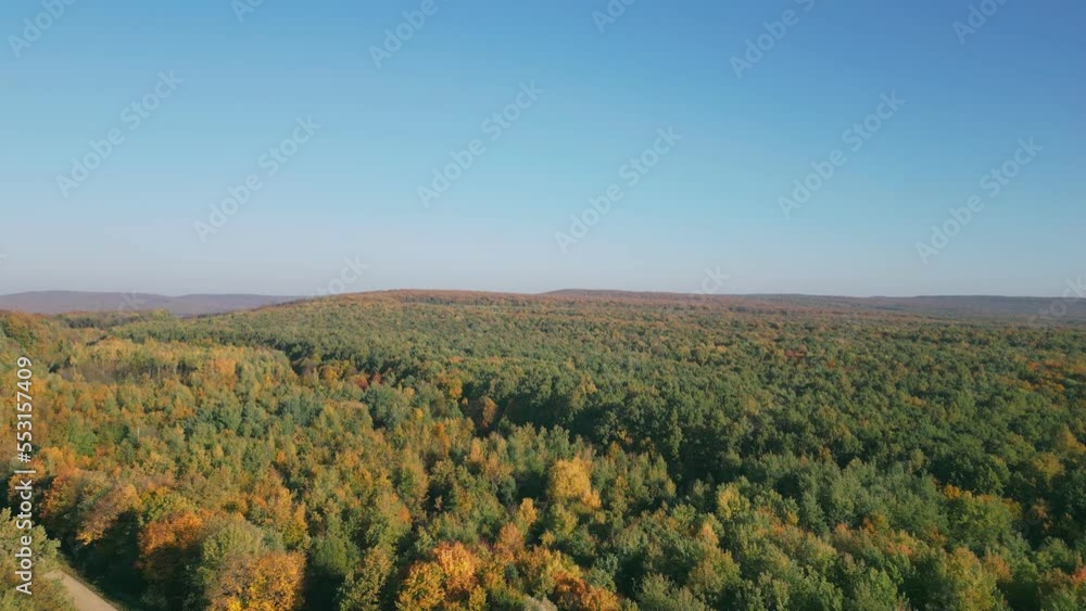 slightly yellowed leaves in the autumn forest from a bird's eye view slightly yellowed leaves in the autumn forest from a bird's eye view