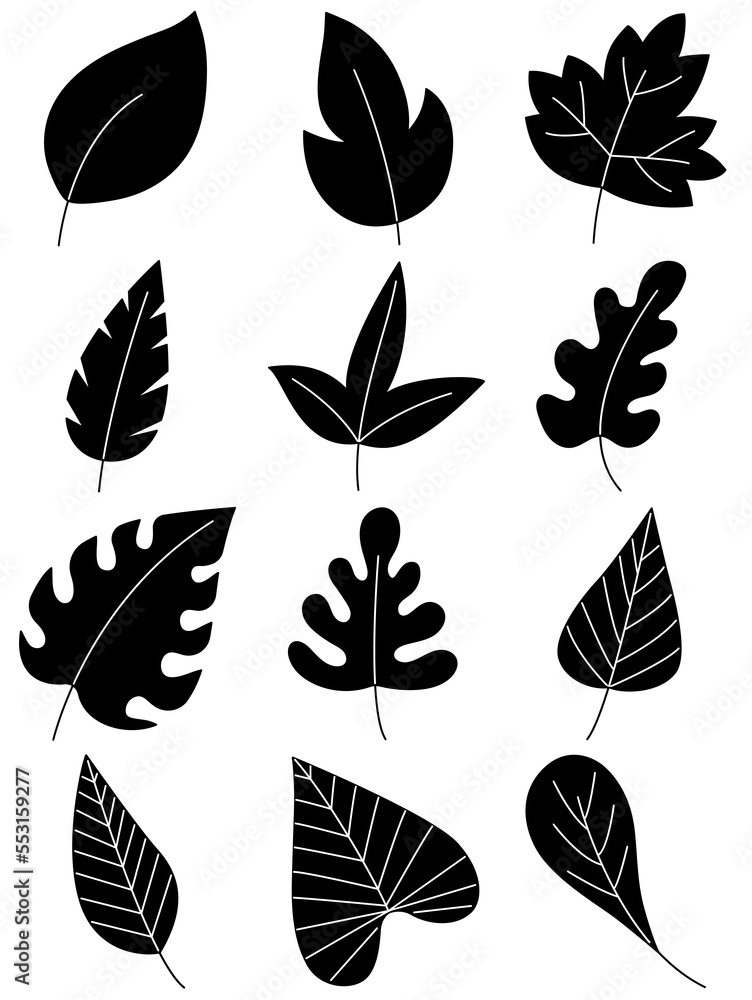 Fototapeta premium Leaves hand drawn icon vector set isolated on white background, Hand drawn decorative elements, Simple cartoon hand drawn style
