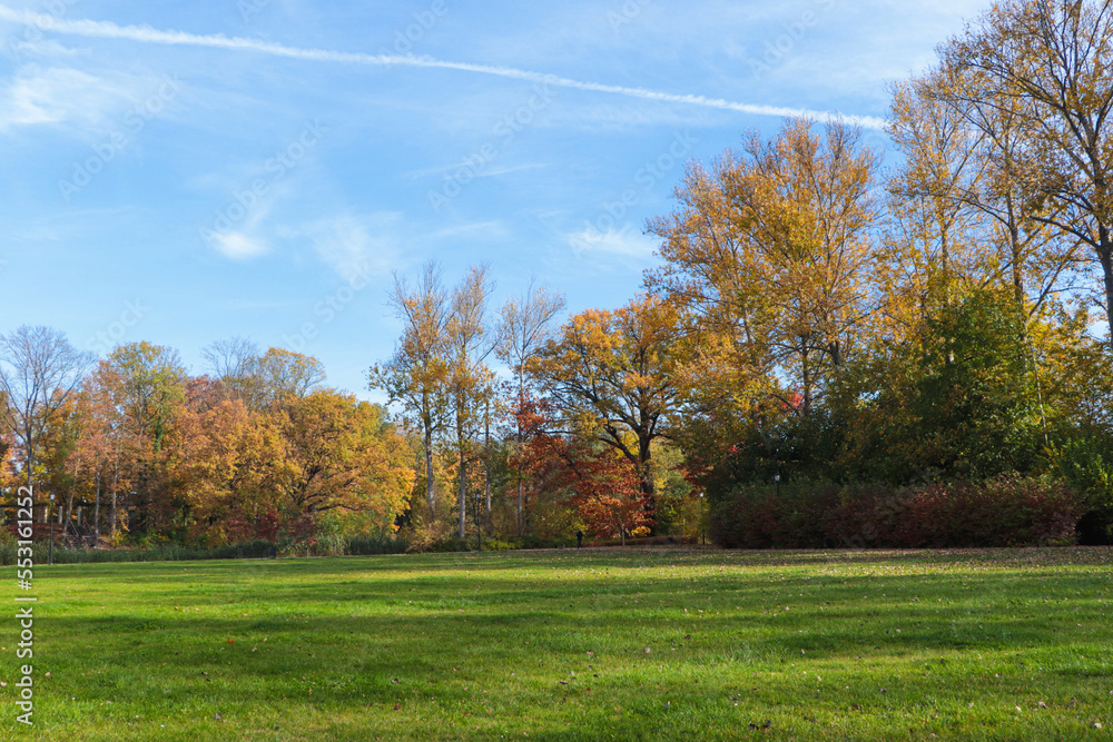 Picturesque view of park with beautiful trees and green grass on sunny day. Autumn season Picturesque view of park with beautiful trees and green grass on sunny day. Autumn season