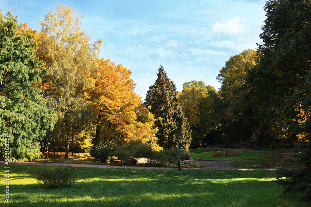 Picturesque view of park with beautiful trees and green grass on autumn day