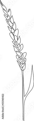 Wheat ear grain - continuous one line drawing. Minimalistic line art food cereals and vector icon concept.