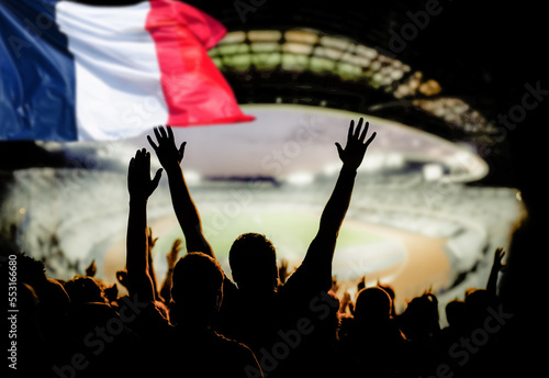 Εκτύπωση καμβά soccer supporters and France flag