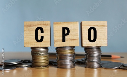 CPO concept, Chief Procurement Officer concept on wooden cubes.  photo