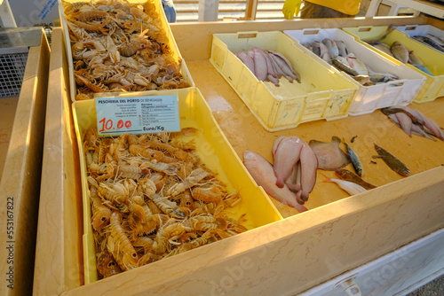 Boxes full of fresh fish, seafoow with ice and prices close-up. Fish and seafood market in Senigallia, Italy. Raw fish