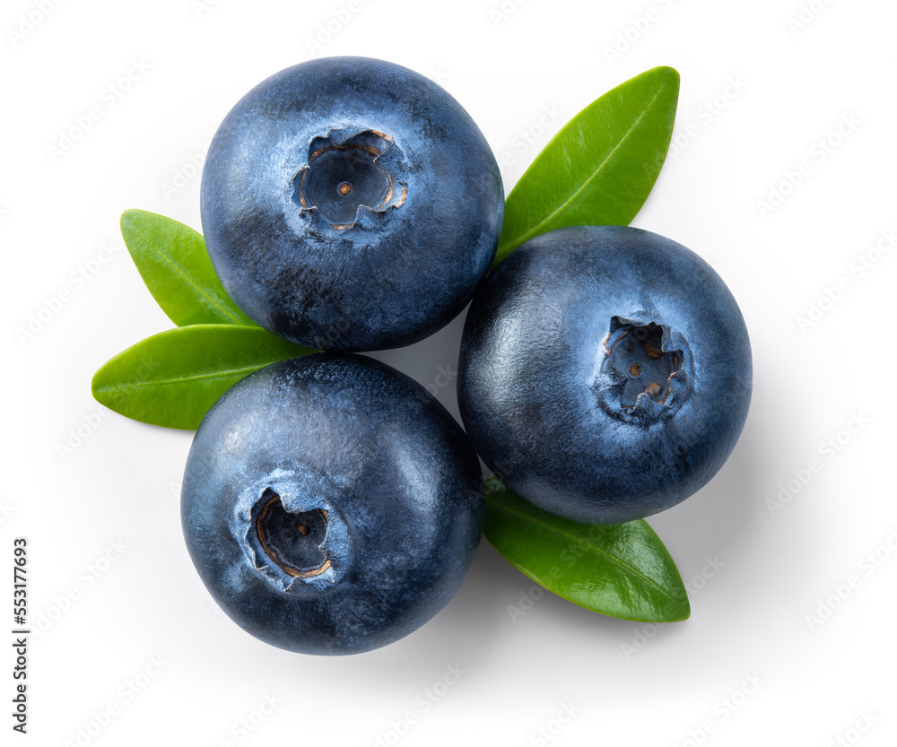 Blueberry isolated. Three blueberries top view. Blueberry with leaves flat lay on white background with clipping path. Blueberry isolated. Three blueberries top view. Blueberry with leaves flat lay on white background with clipping path.