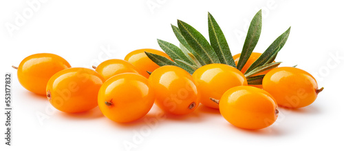 Fotografía Buckthorn isolated