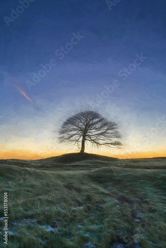 Digital oil painting of a lone tree on Grindon Moor, Staffordshire. photo