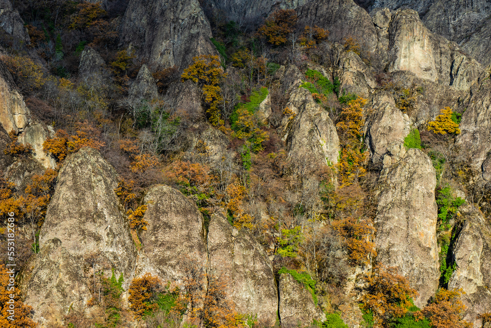 Autumnal landscape of Birtvisi canyon