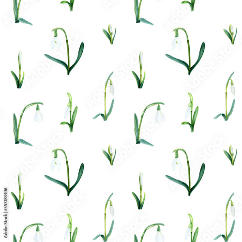 Seamless pattern with snowdrops. Watercolor illustration isolated on white