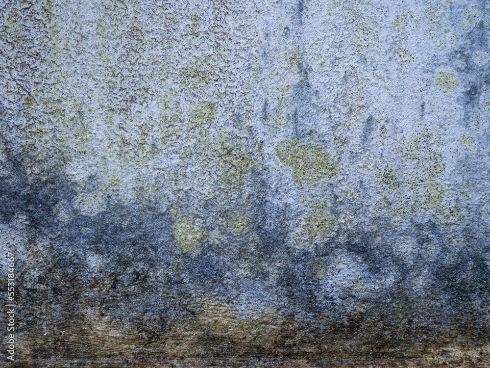 Obraz premium Cement blue stone wall moldy texture background.