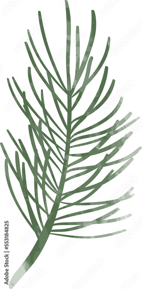 Watercolor winter pine leaf Watercolor winter pine leaf