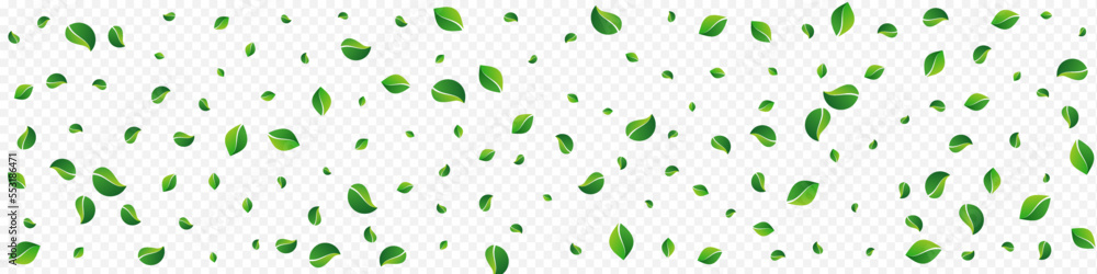 Lime Foliage Wind Vector Panoramic Transparent Lime Foliage Wind Vector Panoramic Transparent