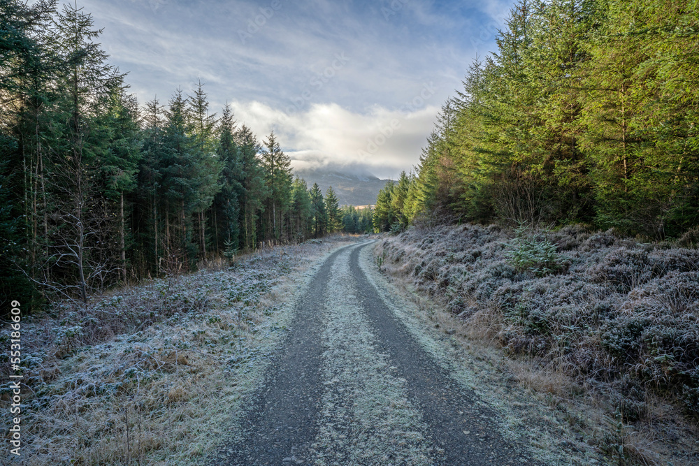 Frosty path and beginning of the trail to the Rhinog mountains in Snowdonia, North Wales.