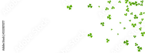 Olive color Clover Isolated Vector White