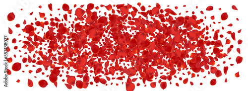 Pink Blossom Japanese Vector Panoramic White