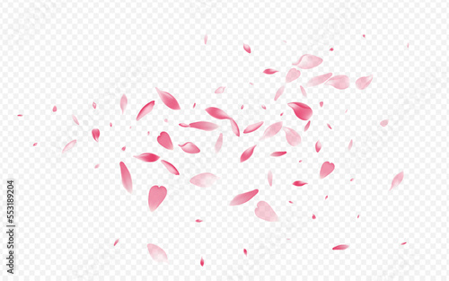 Pink Peach Vector Transparent Background. Cherry